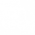 Logo Lion 1 - LionTech